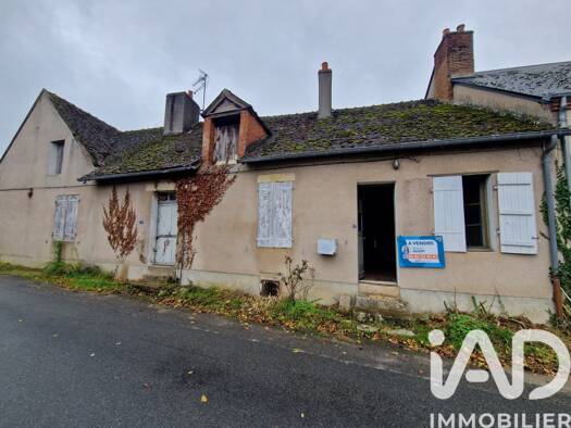 Maison à vendre 58 000 € 3 pièces 1 chambre 109 m² 169 m² de terrain Saint-Aignan-le-Jaillard 45600