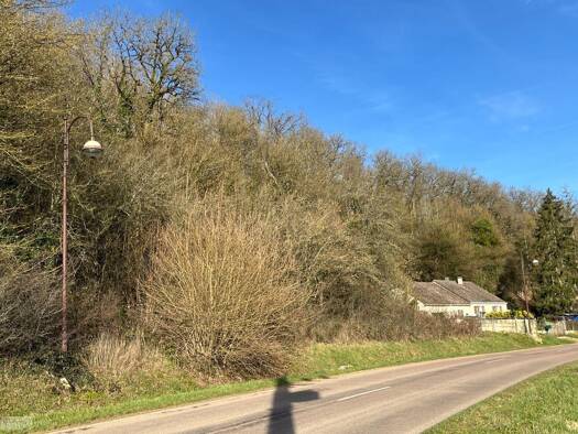 Terrain constructible à vendre 15 500 € 3 107 m² de terrain Villemorien 10110