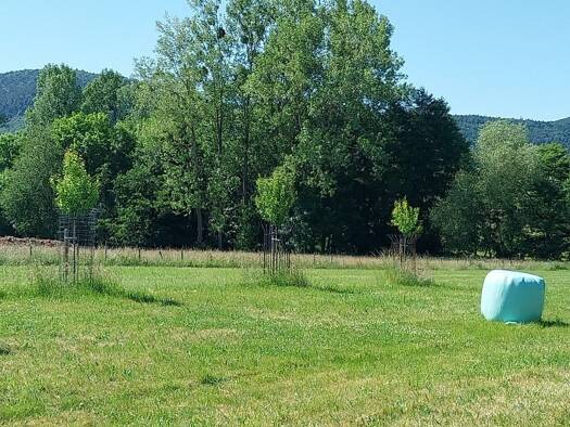 Terrain constructible viabilisé à vendre 60 835 € 529 m² de terrain Hengwiller 67440