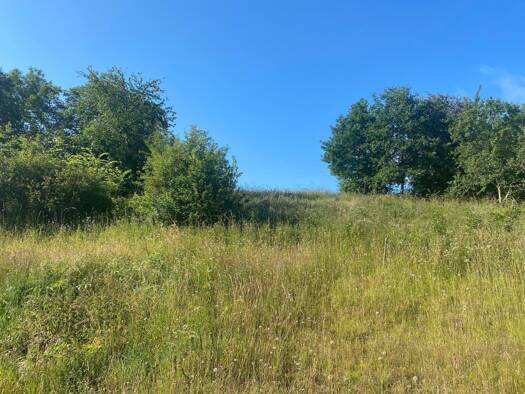 Terrain constructible à vendre 38 000 € 770 m² de terrain Villiers-Saint-Denis 02310