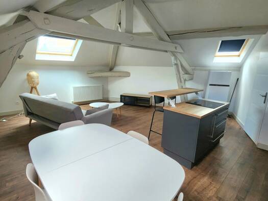 Appartement à louer 525 € 2 pièces 1 chambre 37 m² 3ème étage Chazeau Firminy 42700