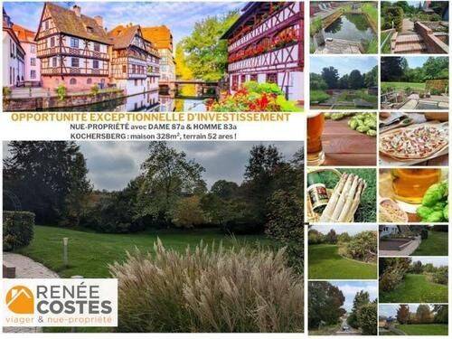 Maison 10 pièces 328 m² · à Willgottheim · 328 m² · 689 920 €