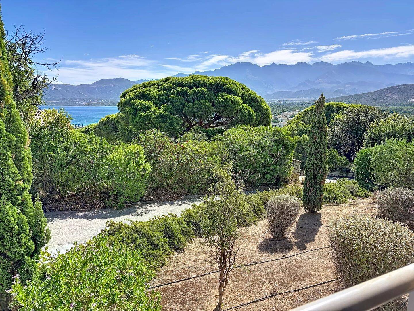 Appartement 2 pièces 36 m² · à Calvi · 35,6 m² · 243 800 €