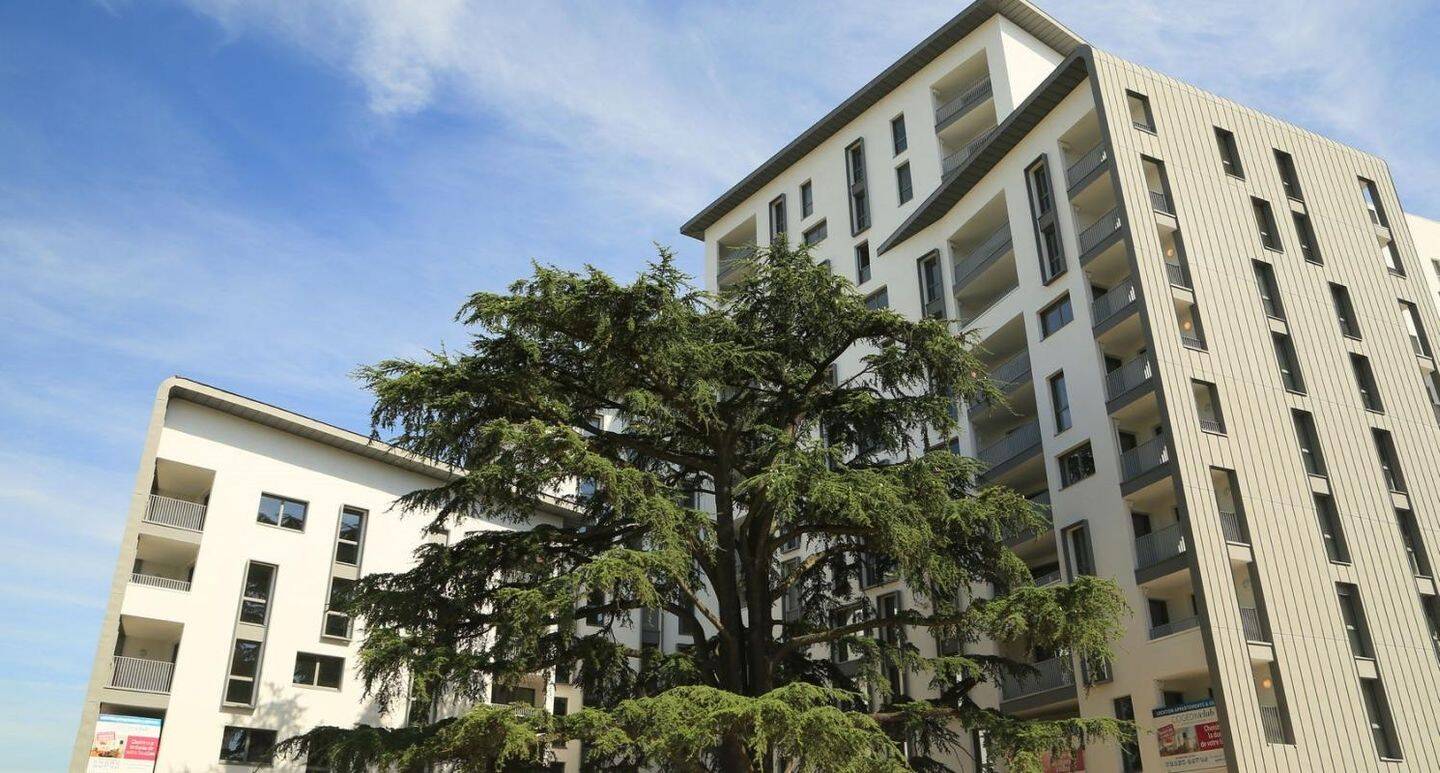 Appartement 2 pièces 41 m² · à Massy · 41 m² · 908 €