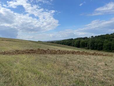 Terrain constructible à vendre 59 000 € 1 300 m² de terrain Montfa 81210