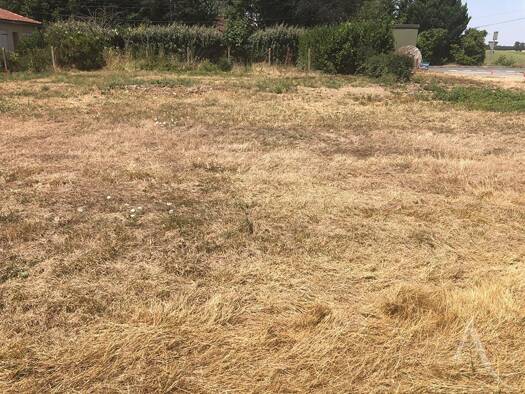 Terrain constructible à vendre 147 000 € 630 m² de terrain Baziège 31450