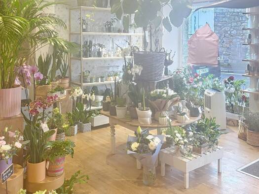 Boutique à vendre Fonds de commerce 105 900 € 71 m² de surface de vente Roscoff 29680