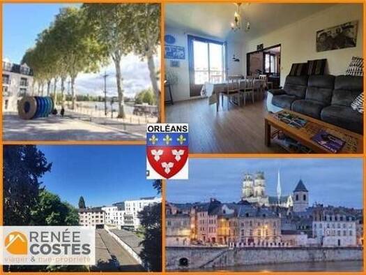 Appartement en viager occupé Bouquet 55 975 € 4 pièces 2 chambres 75 m² Étage 5/12 Orléans 45000