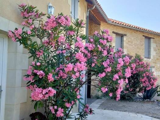 Maison à vendre 239 000 € 7 pièces 167,1 m² Angliers 86330