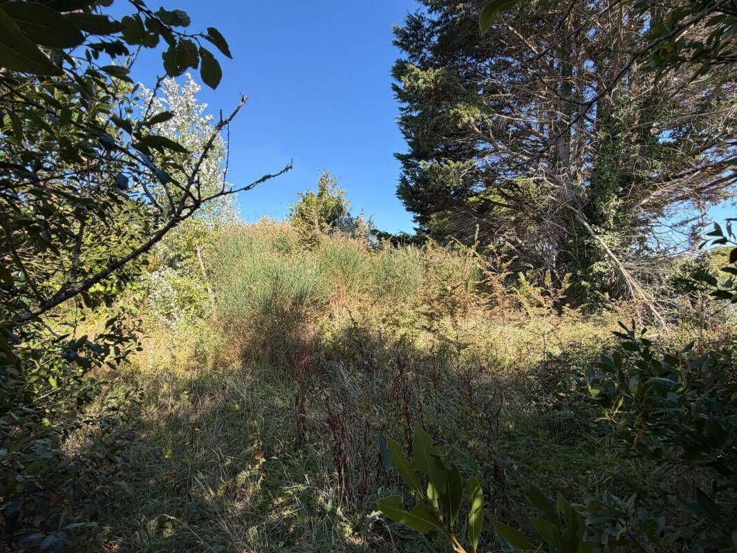 Terrain de 637 m² à Barbâtre - photo 2