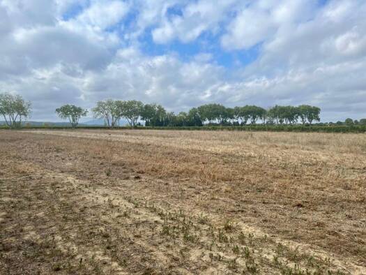 Terrain constructible viabilisé à vendre 64 900 € 400 m² de terrain Olonzac 34210