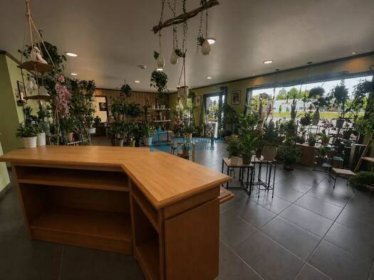 Fleuriste à vendre Fonds de commerce 45 000 € 101 m² de surface de vente Arc-et-Senans 25610