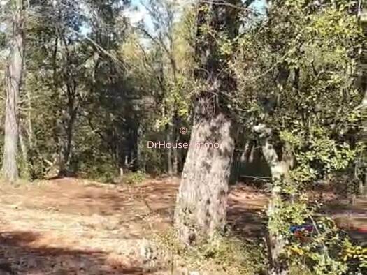 Terrain constructible à vendre 505 500 € 7 807 m² de terrain Est Saint-Maximin-la-Sainte-Baume 83470