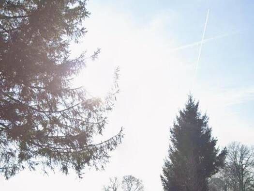 Terrain constructible à vendre 24 300 € 609 m² de terrain Foncquevillers 62111