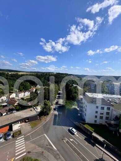 Appartement en viager Bouquet 35 000 € 5 pièces 3 chambres 102 m² Étage 9/12 Epinal 88000