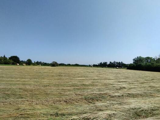 Terrain à vendre 43 000 € 3 925 m² de terrain Castelnau-Montratier 46170