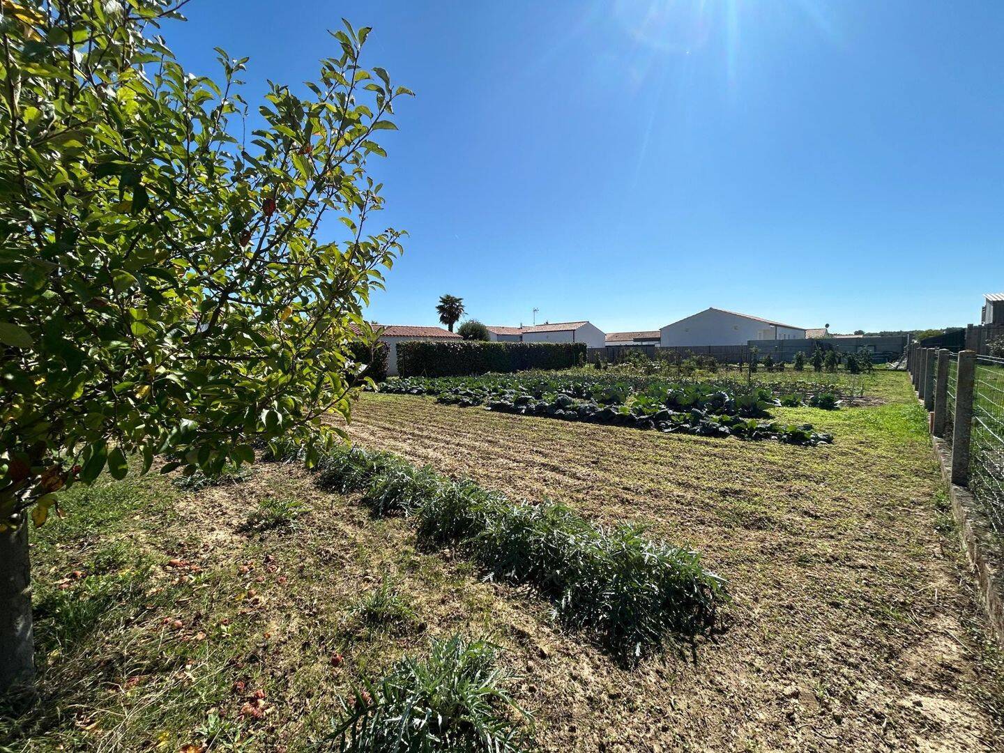 Terrain de 919 m² à Longeville-sur-Mer - photo 2