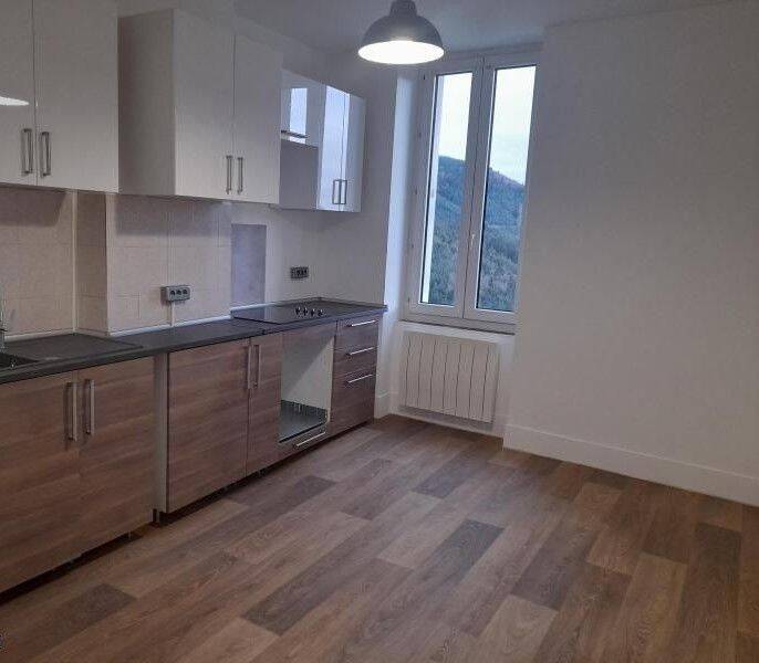 Appartement 1 pièce 40 m² · à Saint-Étienne · 40 m² · 435 €