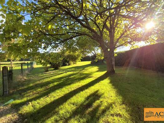 Maison à vendre 117 000 € 4 pièces 3 chambres 103 m² 1 441 m² de terrain Blancafort 18410