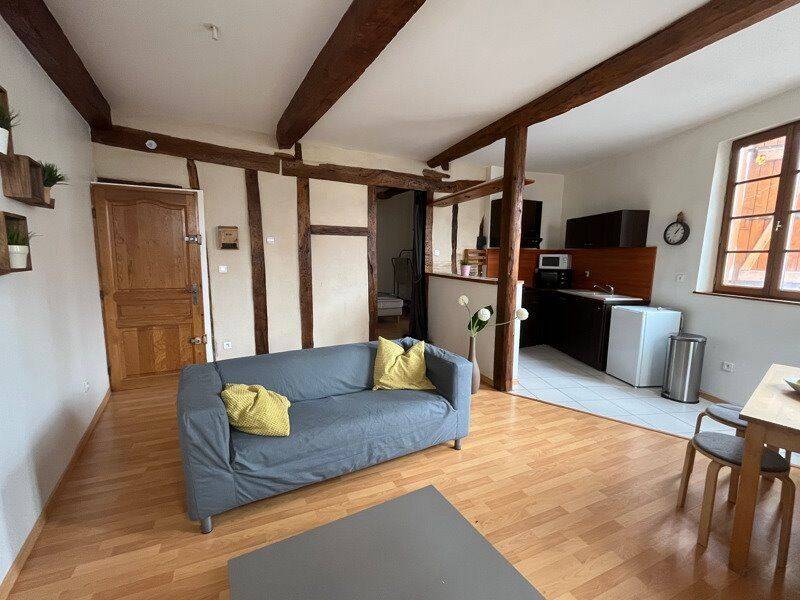 Appartement 1 pièce 40 m² · à Graulhet · 40,2 m² · 480 €