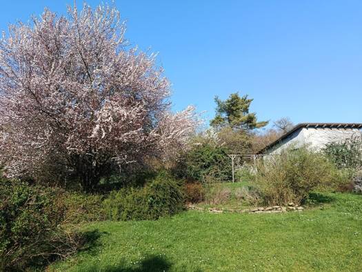 Maison à vendre 147 000 € 5 pièces 2 chambres 93 m² 3 900 m² de terrain Dieuze 57260