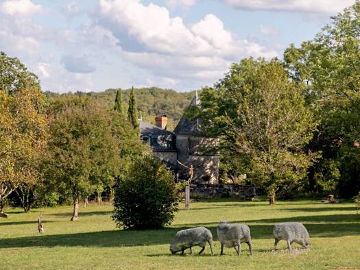 Villa à vendre 935 000 € 12 pièces 7 chambres 424 m² 71 896 m² de terrain Crégols 46330