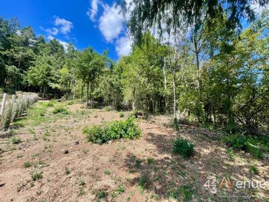 Terrain constructible viabilisé à vendre 65 500 € 1 212 m² de terrain Bas-en-Basset 43210