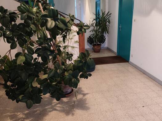 Immeuble à vendre 222 900 € 271 m² Contrexéville 88140