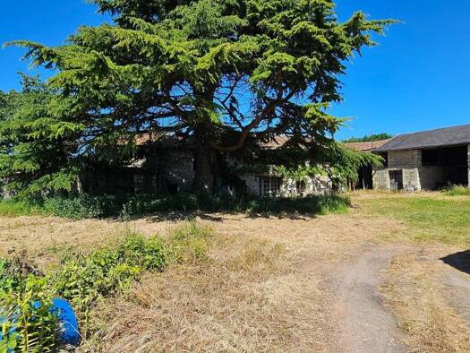 Maison à vendre 57 000 € 1 pièce 1 chambre 120 m² 2 400 m² de terrain Ceaux-en-Loudun 86200