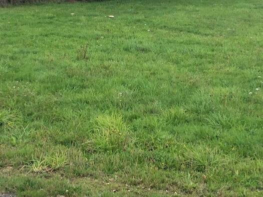 Terrain constructible à vendre 79 500 € 350 m² de terrain Les Touches 44390