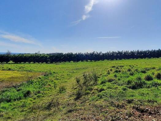 Terrain constructible à vendre 20 000 € 1 525 m² de terrain Chabrignac 19350