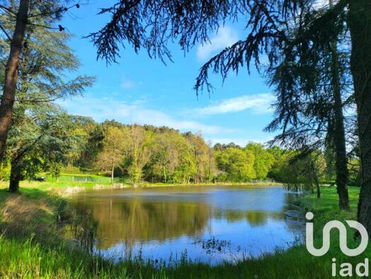 Propriété de loisirs à vendre 105 000 € 50 000 m² de terrain Antran 86100
