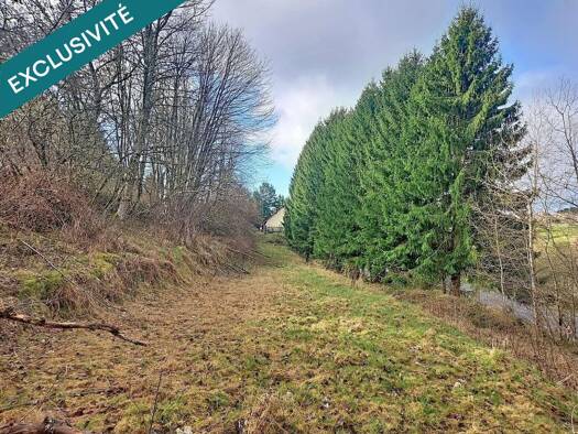 Terrain constructible à vendre 61 000 € 1 690 m² de terrain Bourg-Bruche 67420