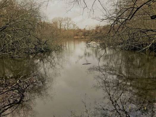 Terrain à vendre 45 000 € 23 730 m² de terrain Oradour-sur-Vayres 87150