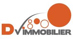 DV IMMOBILIER logo