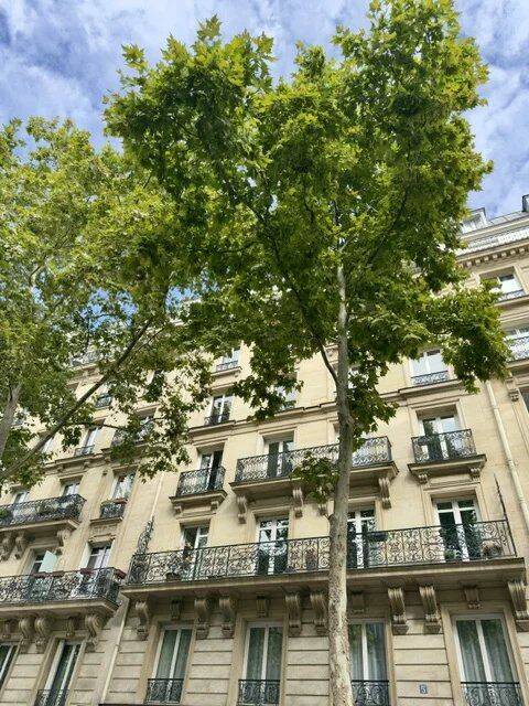 Appartement 5 pièces 118 m² · à Paris 15ème Arrondissement · 117,5 m² · 4 162 €/mois