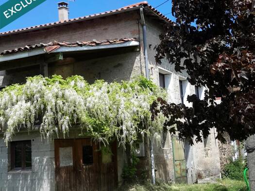 Ferme à vendre 249 000 € 7 pièces 5 chambres 167 m² 1 491 m² de terrain Saint-Romain-en-Jarez 42800