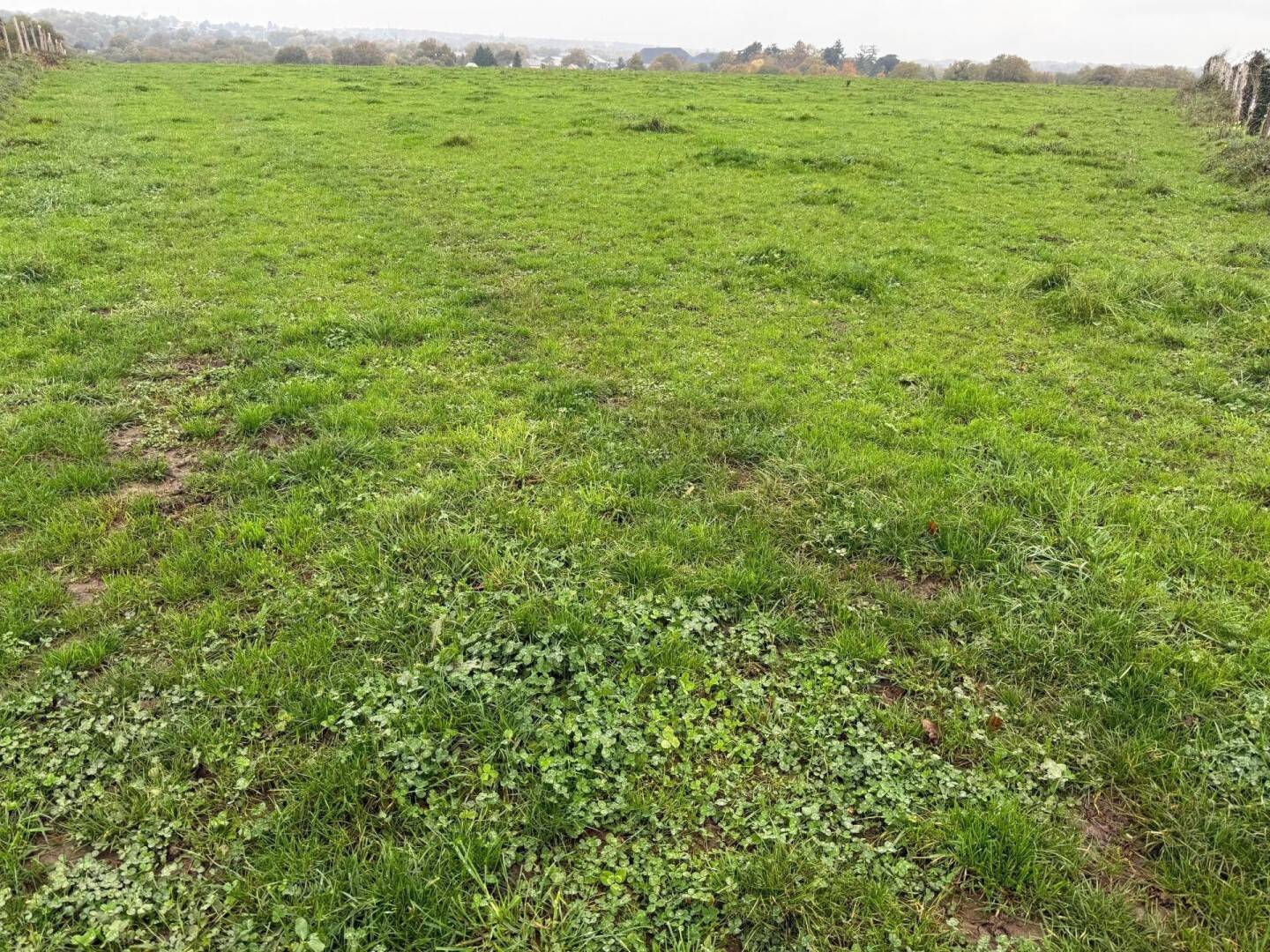 Terrain de 790 m² à Candé - photo 2