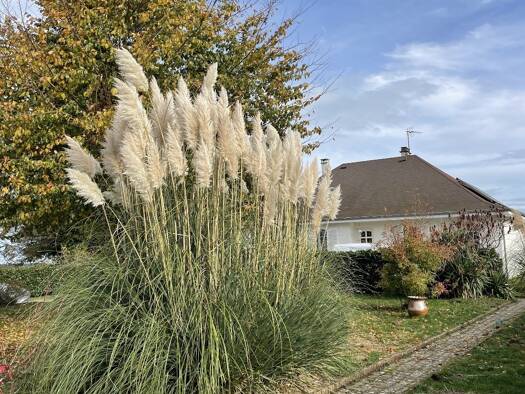 Maison à vendre 180 000 € 4 pièces 1 chambre 94 m² 1 600 m² de terrain Nord La Souterraine 23300