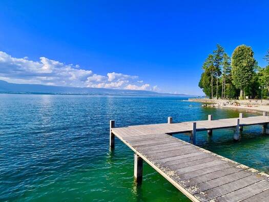 Maison à vendre - Première occupation 660 000 € 4 pièces 3 chambres 123 m² 330 m² de terrain Chens-sur-Léman 74140