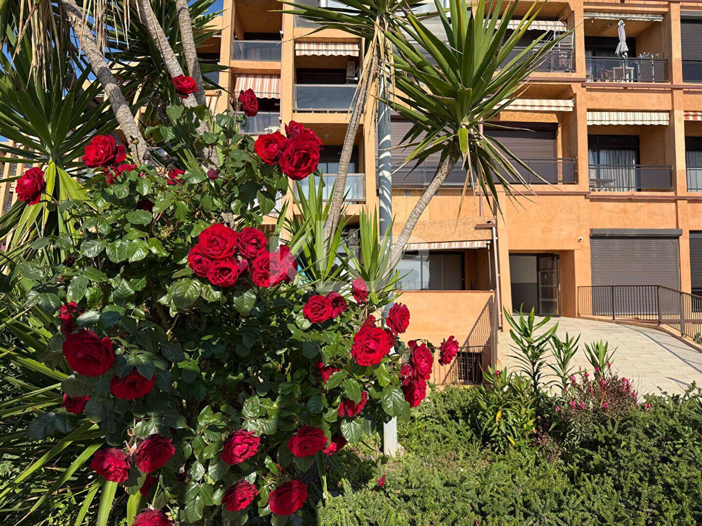 Appartement 1 pièce 34 m² · à Santa-Lucia-Di-Moriani · 34 m² · 79 000 €