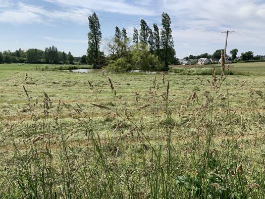 Terrain constructible à vendre 55 000 € 347 m² de terrain Guignen 35580