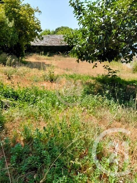 Terrain de 560 m² à Scolca - photo 2