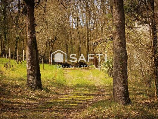 Maison à vendre 300 000 € 6 pièces 4 chambres 120 m² 11 410 m² de terrain Sainte-Colombe-en-Bruilhois 47310