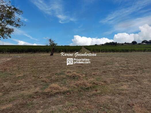 Terrain constructible viabilisé à vendre 65 000 € 690 m² de terrain Lussac 33570