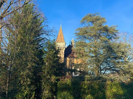 Maison de ville à vendre 1 190 000 € 12 pièces 6 chambres 543 m² 8 500 m² de terrain Bourg-en-Bresse 01000