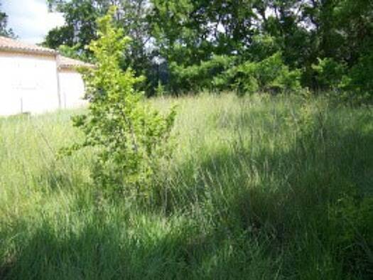 Terrain constructible à vendre 46 000 € 600 m² de terrain Lussan 30580