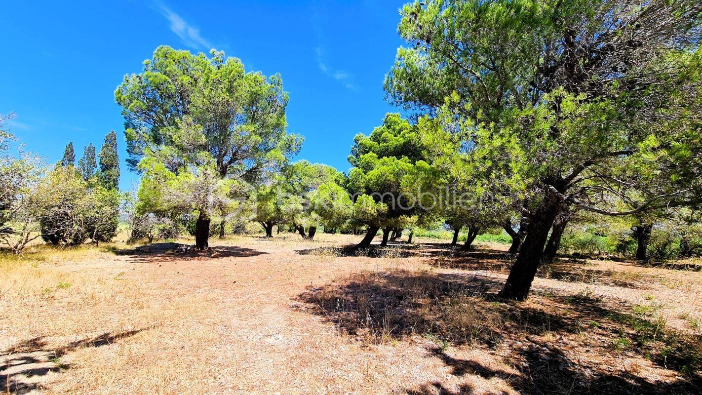 Maison 9 pièces 299 m² · à La Palme · 299 m² · 499 000 €