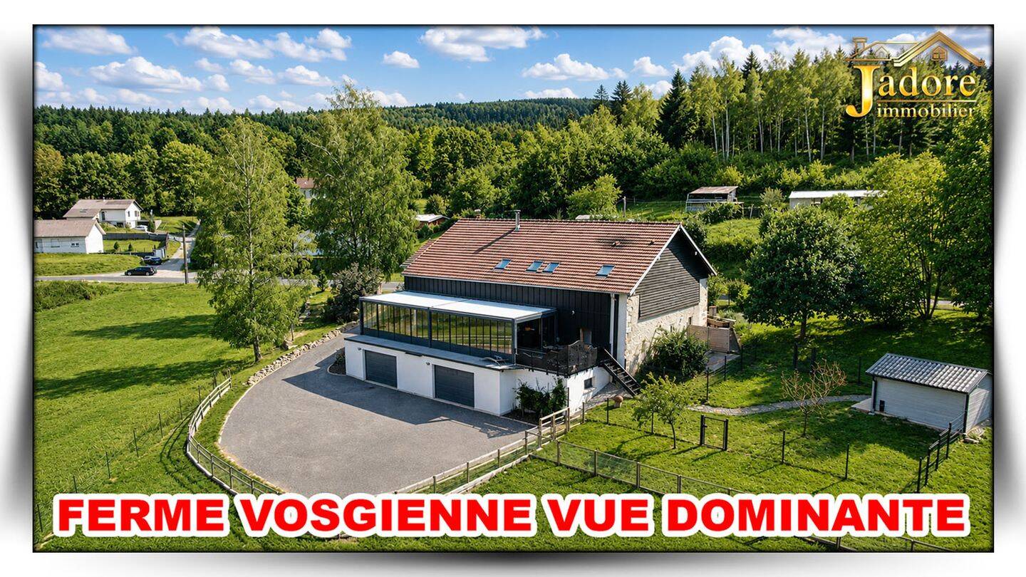 Maison 10 pièces 298 m² · à Anould · 298 m² · 699 000 €