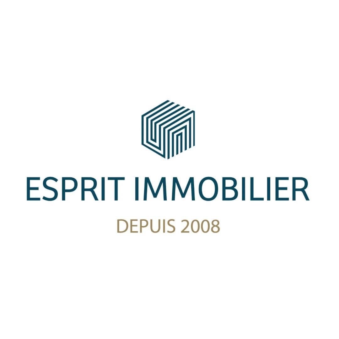 ESPRIT IMMOBILIER
